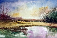 Dusyant-Singh-2