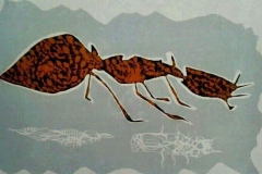 Abinabh-Baral-2