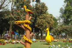 2018-SC-66-Ujwala-Dahake-2-Garden-Festival