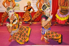 2018-WP-80-Dayanand-Awasthi-3-Sambalpuri-Dance