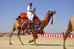 2018-WP-82-Inder-Parkash-3-Desert-Festival