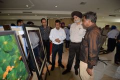 Art-Exhibition-Art-and-The-City-2015-49