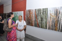 2013-August-14-at-Gallery-Open-Palm-Court-India-Habitat-Centre-New-Delhi-33