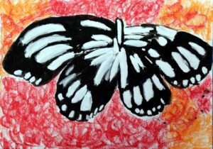 Titlee-The Butterfly