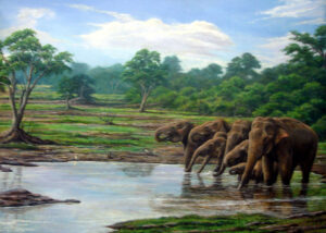Nature Gilft