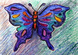 Titlee-The Butterfly