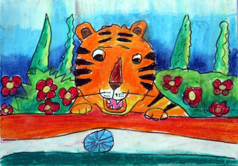 Tiger-The National Animal