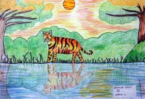 Tiger-The National Animal
