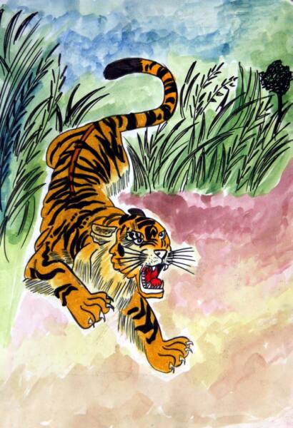 Tiger-The National Animal – 