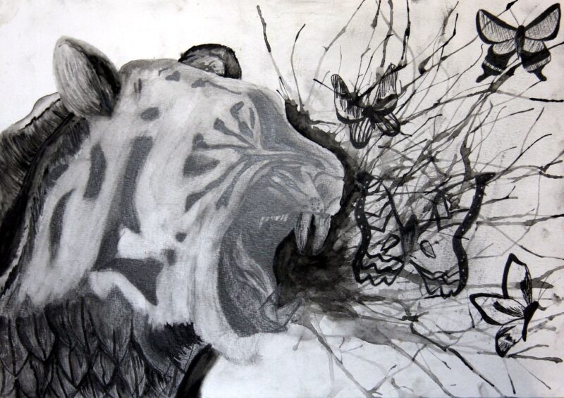 Tiger-The National Animal
