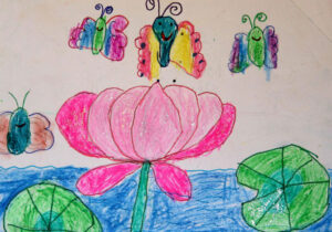 Lotus-The National Flower