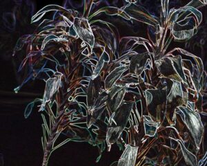 Untiled