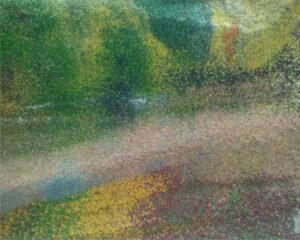 Fragments of Color, Woven by Nature’s Hand