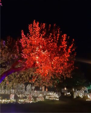 Nature Painted in Neon Dreams