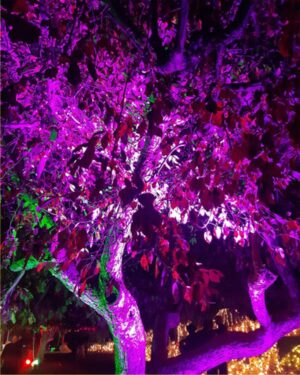Nature Painted in Neon Dreams