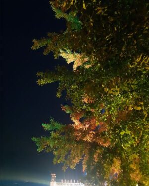Nature Painted in Neon Dreams