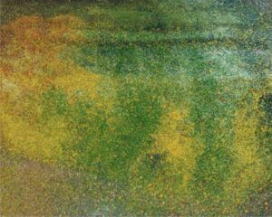 Fragments of Color, Woven by Nature’s Hand