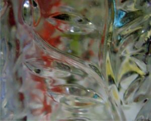 Nature Etched in Glass, Light Dancing in Colors